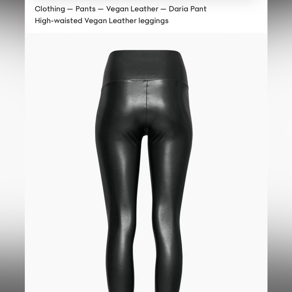 aritzia leather legging/pants - Picture 4 of 7